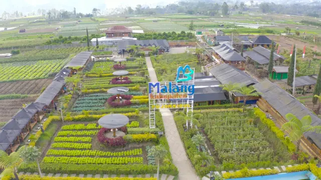 Program Desa BRILiaN 2024 Terus Berlanjut, Dukung Pengembangan Desa