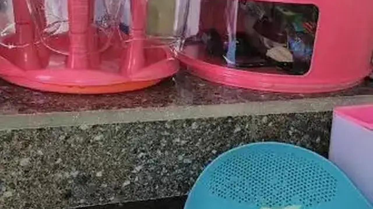 Cara Menggoreng Singkong Agar Empuk dan Mekar dengan Mudah, Jadi Cemilan Enak saat Lebaran