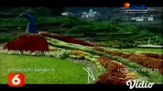 Kebun Bunga Refugia di lereng Gunung Lawu tumbuh belasan jenis bunga indah, dan berwarna-warni. Di antaranya, bunga marigold, anggrek, dan bunga kenikiran dan masih banyak lagi.