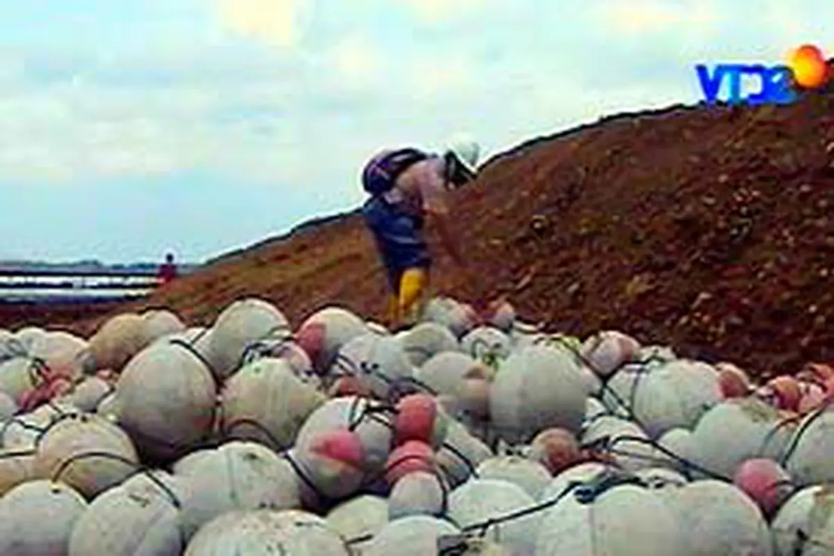 090307alapindo.jpg