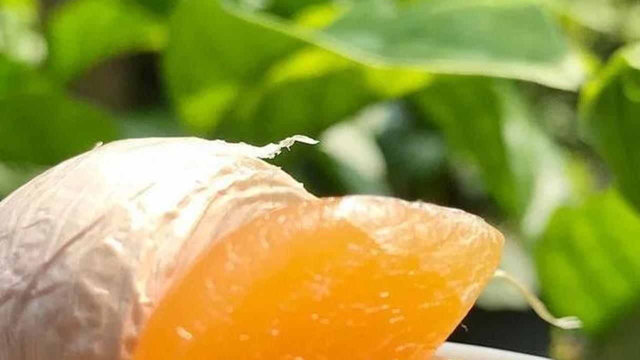 <b>Manfaat Golden Garlic untuk Kesehatan</b>