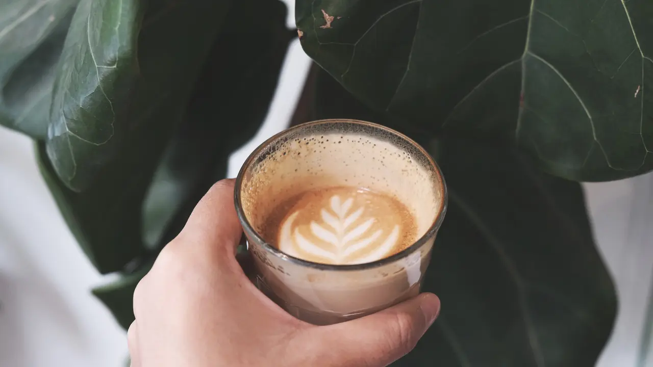 kopi
