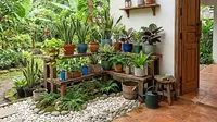 6 Inspirasi Sudut Hijau di Teras Rumah Memakai Barang Bekas yang Murah, Cantik dan Hemat Biaya
