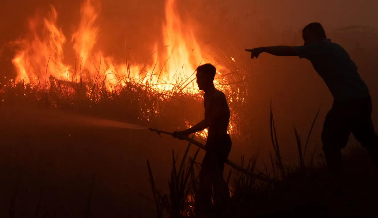 Seorang pemilik perkebunan cabai berusaha memadamkan kobaran api di lahan gambut untuk melindungi lahan miliknya di Ogan Ilir, Sumatra Selatan. Foto diambil pada tanggal 2 Oktober 2023. (Al ZULKIFLI/AFP)