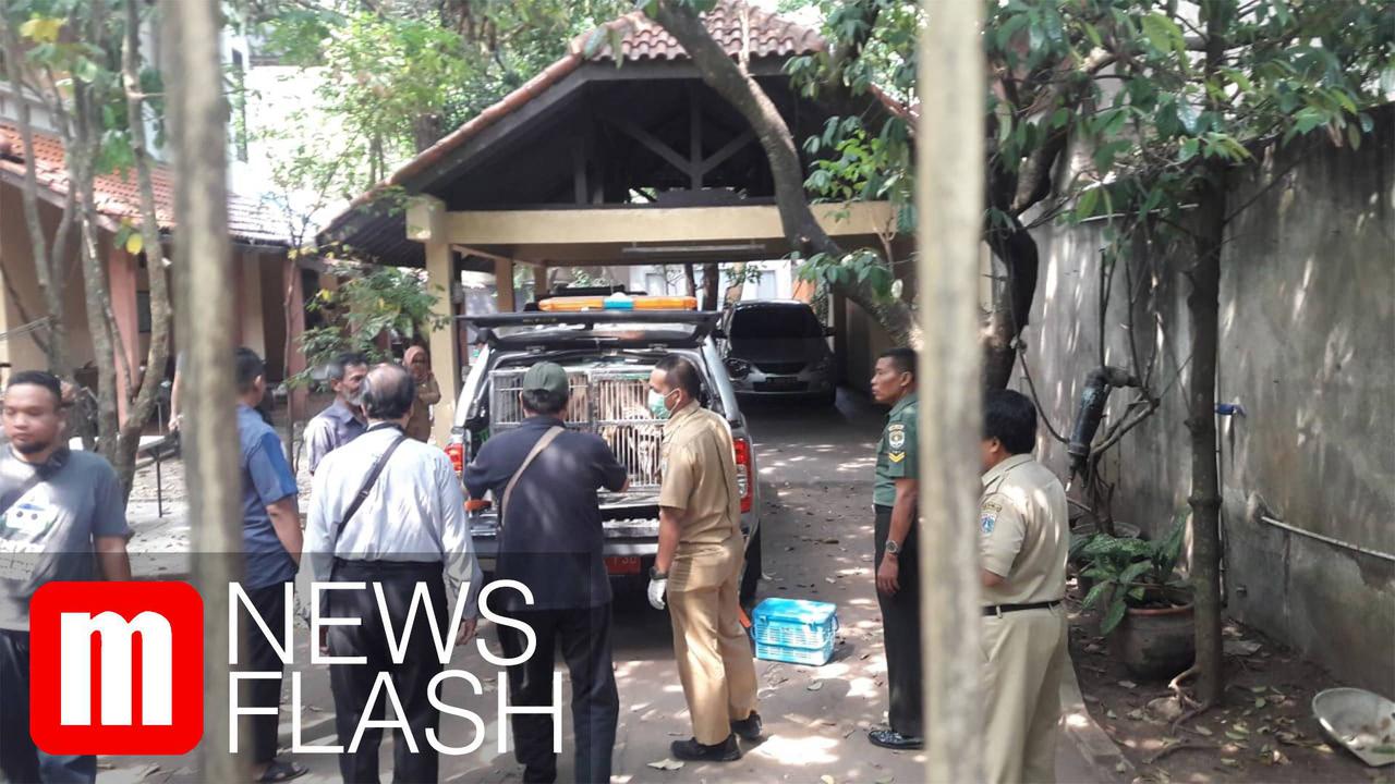 VIDEO: Polisi Pastikan Kasus ART Tewas Diterkam Anjing Tetap Dilanjutkan