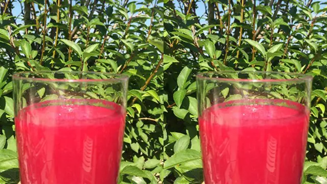 Foto: copyright womenshealthmag.com/Keri Glasmann