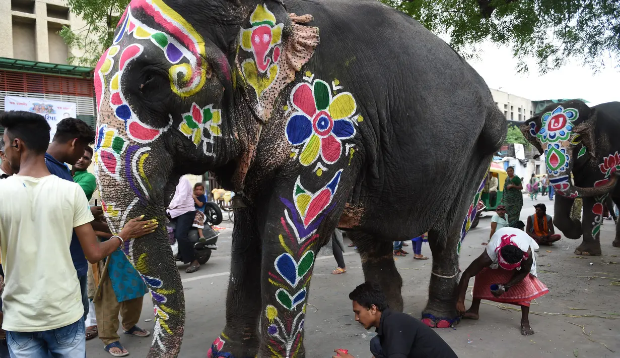 Seekor gajah dilukis menjelang festival Hindu tahunan Rath Yatra di Ahmedabad, India (3/7/2019). Festival Rath Yatra dijadwalkan akan dimulai pada 4 Juli tahun ini dan akan dimeriahkan oleh sekitar 15 gajah. (AFP Photo/Sam Panthaky)