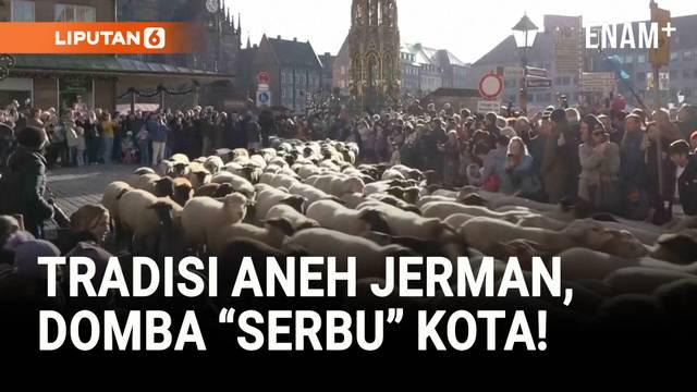 Ratusan pejalan kaki di kota Nuremberg, Jerman, harus memberi jalan bagi sekitar 600 ekor domba yang digiring melintasi pusat kota pada Minggu 16/11).