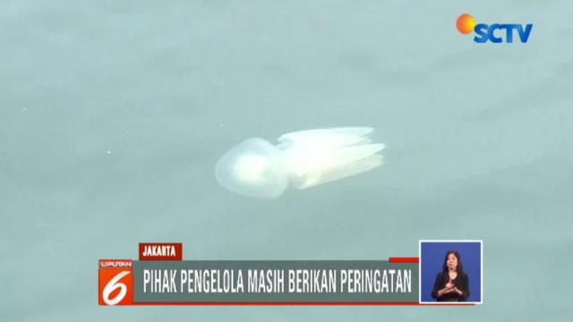 Berita Pantai Ancol Hari Ini Kabar Terbaru Terkini