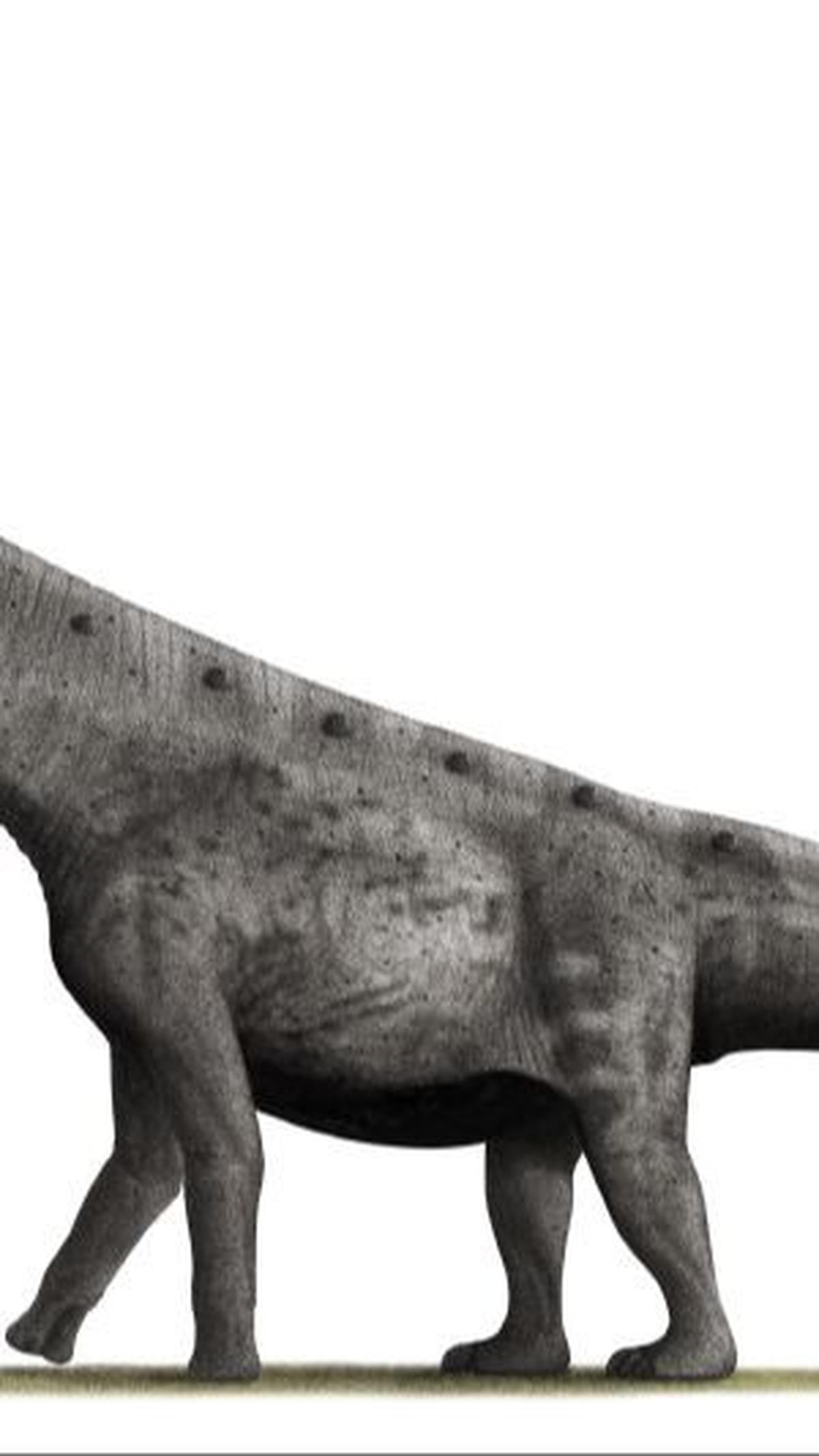 4.&nbsp;Argentinosaurus