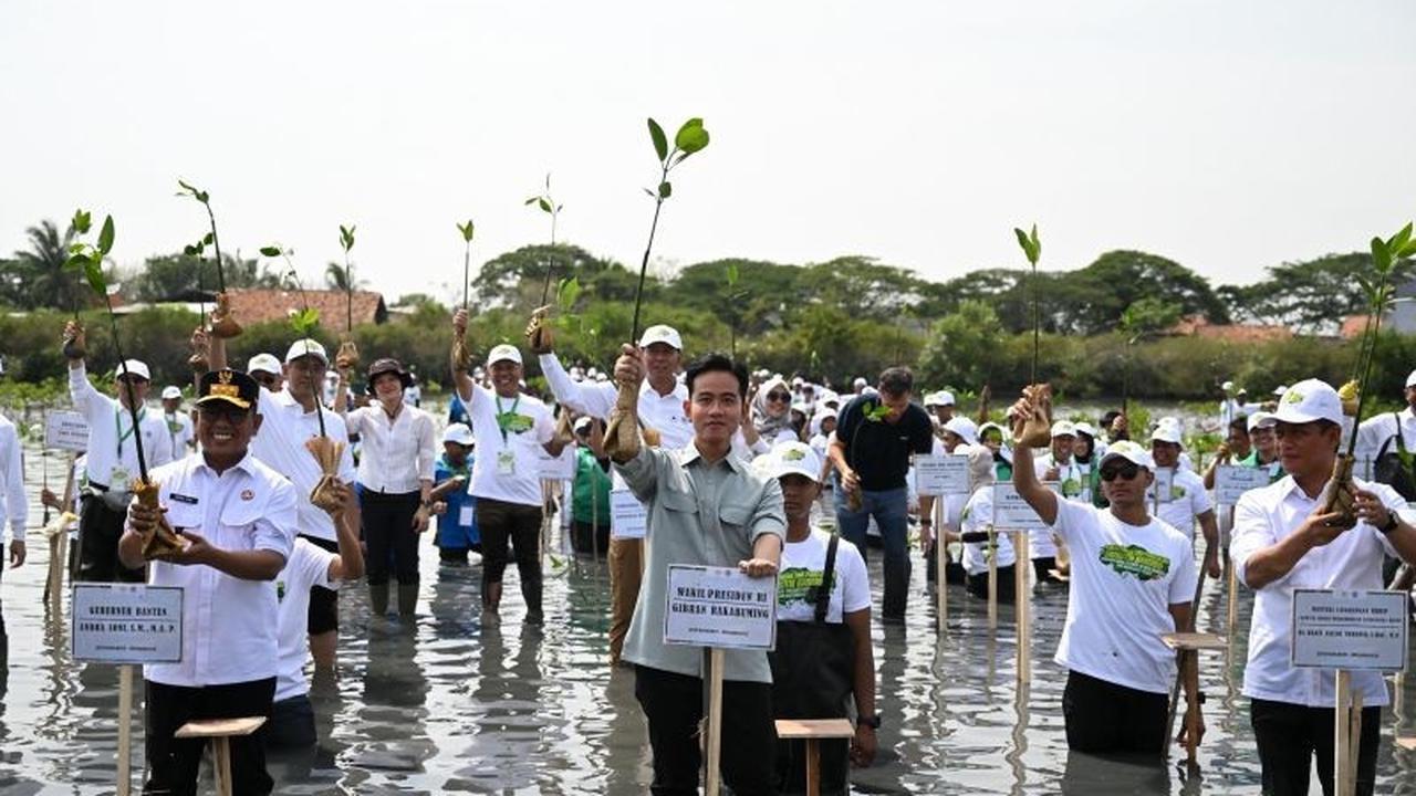 Fakta Unik: Indonesia Punya Ekosistem Bakau Terbesar di Dunia, Wapres Tanam Bakau Dukung Pemulihan Pesisir Banten