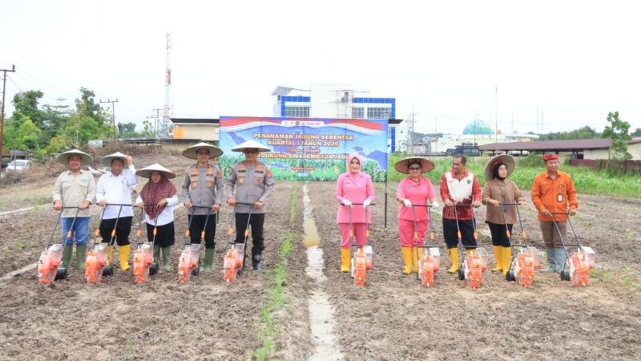 Polda Kaltara Perkuat Ketahanan Pangan dengan Kelola 808 Hektare Lahan Pertanian