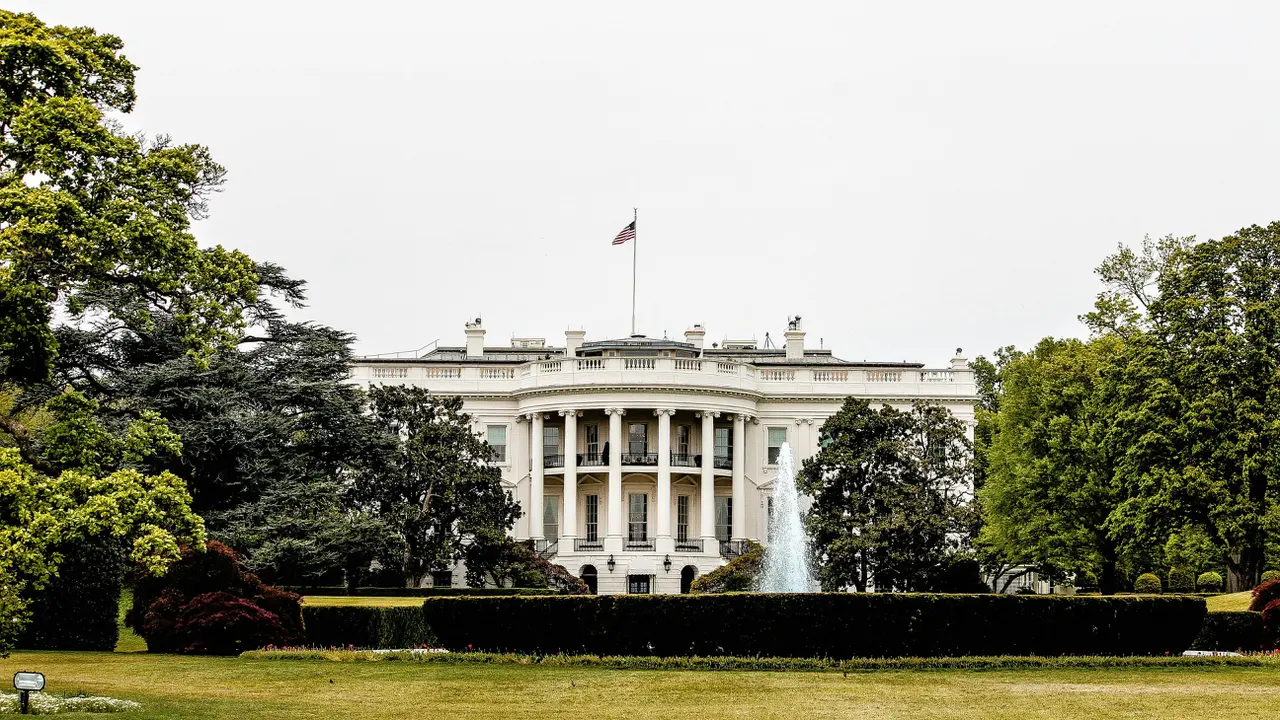 UFC Freedom 250: White House Ready to Host Historic UFC Fight in June 2026