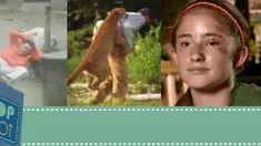 (Liputan6.com)