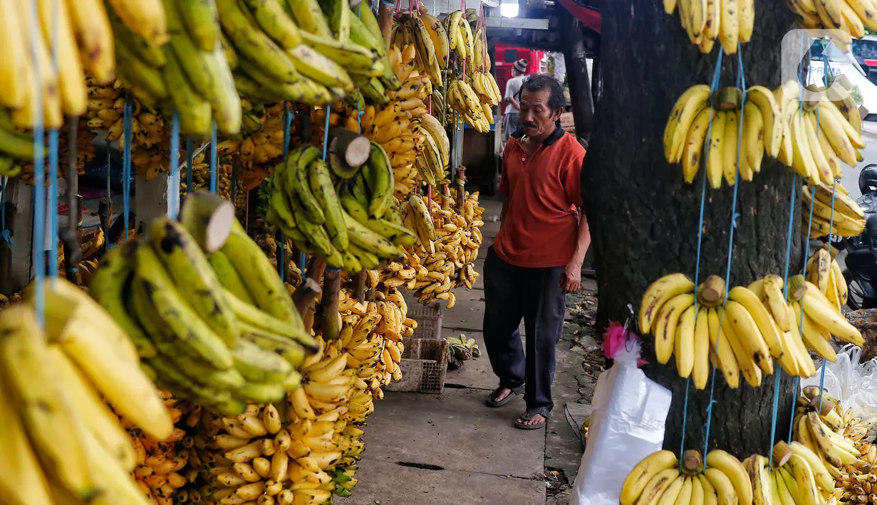 Memasuki bulan suci Ramadhan 1444 H, permintaan akan pisang mengalami peningkatan. (Liputan6.com/Angga Yuniar)