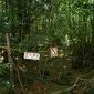 tersesat di Hutan Aokigahara. Source:  Tofugu