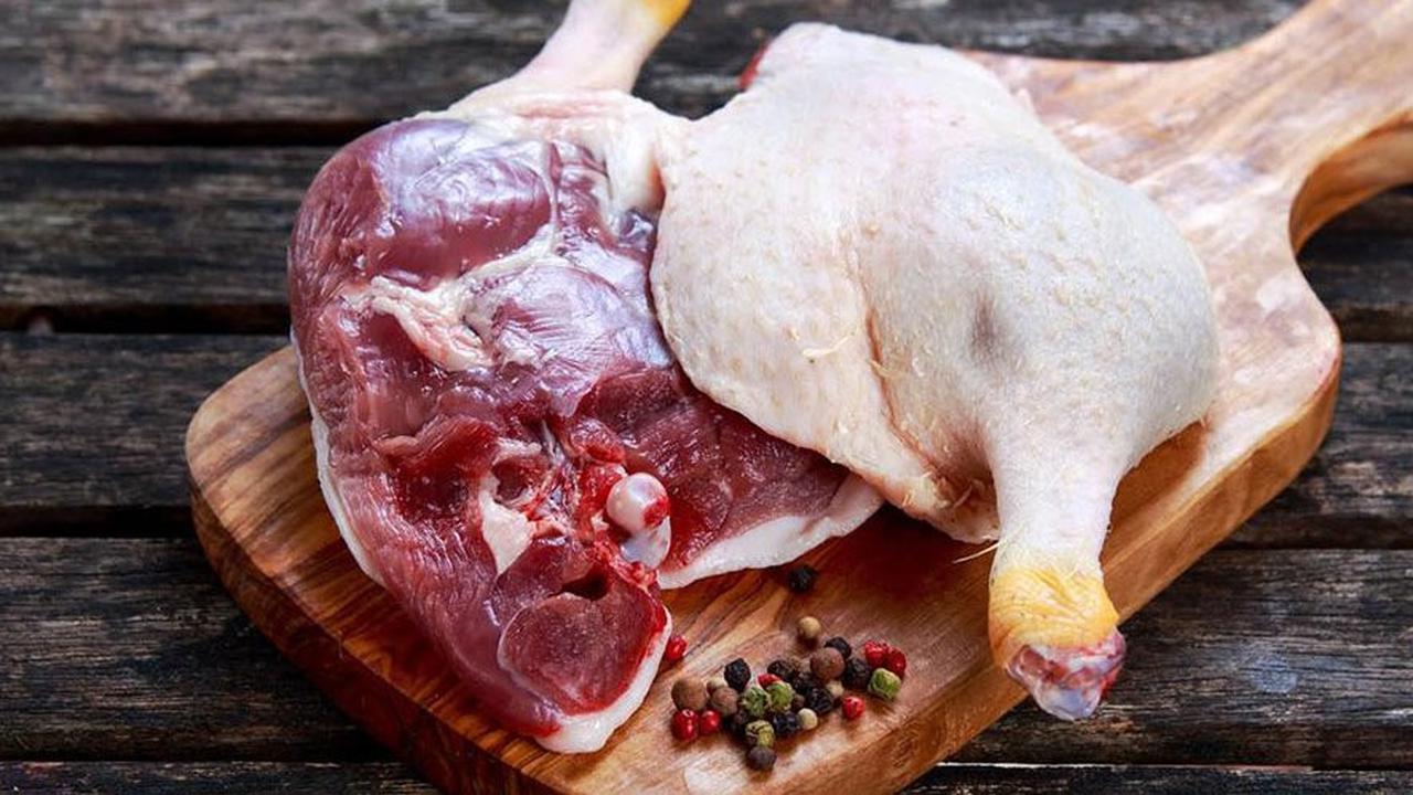 Apakah Bebek Menyebabkan Kolesterol? Berikut Panduan Lengkapnya untuk Orang Tua
