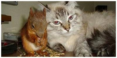 Foto : copyright dailymail.co.uk