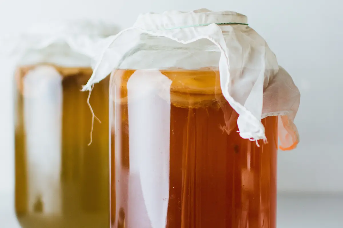 [Fimela] Kombucha