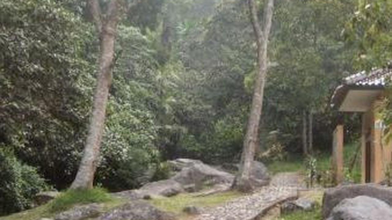 8. Cibodas Botanical Garden