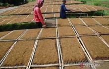 UNS Ingatkan Pentingnya Keseimbangan dalam Perlindungan Industri Tembakau