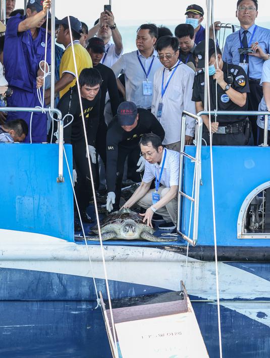 Para sukarelawan melepaskan penyu ke laut di Wilayah Lingshui, Provinsi Hainan, China selatan, pada 9 Agustus 2020. Sebanyak 99 ekor penyu, baik yang terdampar maupun hasil sitaan oleh penegak hukum, dilepaskan kembali ke laut pada Minggu (9/8). (Xinhua/Zhang Liyun)