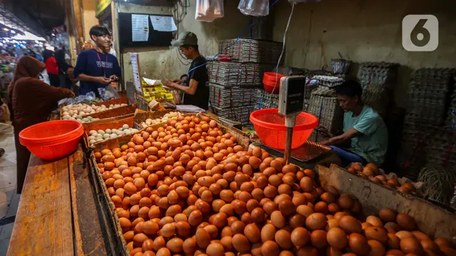 Harga Telur Stabil, Ayam Naik Tajam: Konsumen Mulai Mengeluh