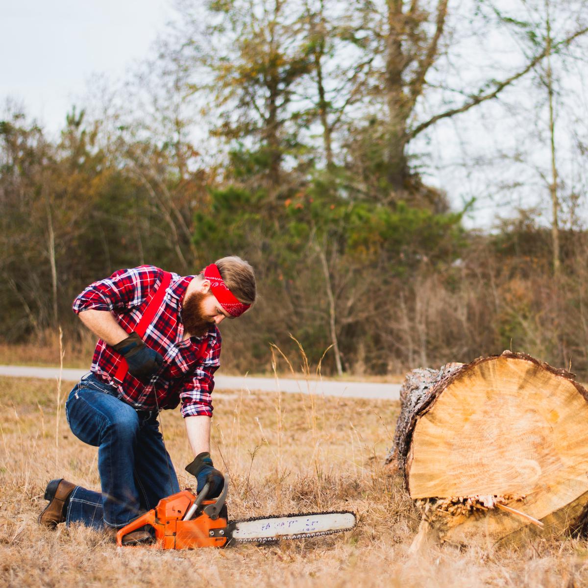 Cermati 9 Arti Mimpi Menebang Pohon - Ragam Bola.com