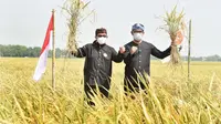 Hadiri Panen Raya Bareng Ridwan Kamil di Karawang, Salim Segaf Borong Gabah dari Petani Muda