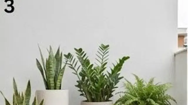 Gunakan Pot dengan Warna dan Bentuk yang Selaras