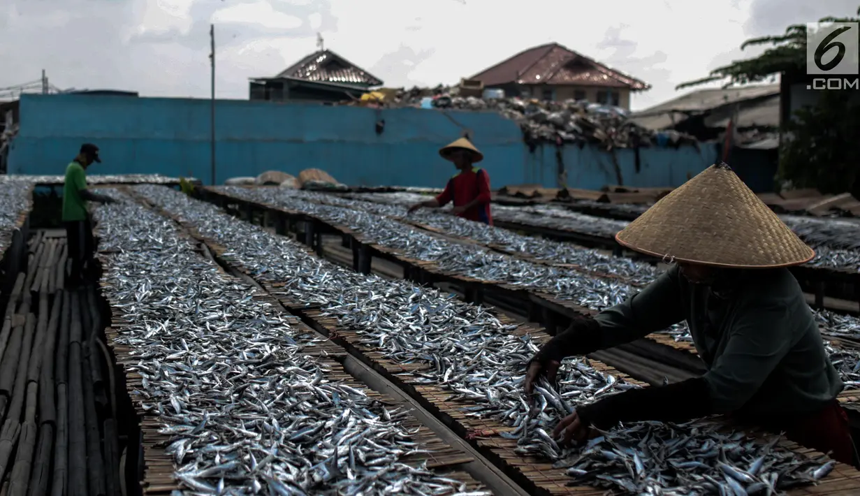 Pekerja menjemur ikan saat proses pengasinan di kawasan Muara Angke, Jakarta, Senin (26/11). Nelayan mengaku produksi ikan asin di muara angke mengalami penurunan, disebabkan terhambatnya proses pengeringan di musim hujan. (Liputan6.com/Faizal Fanani)