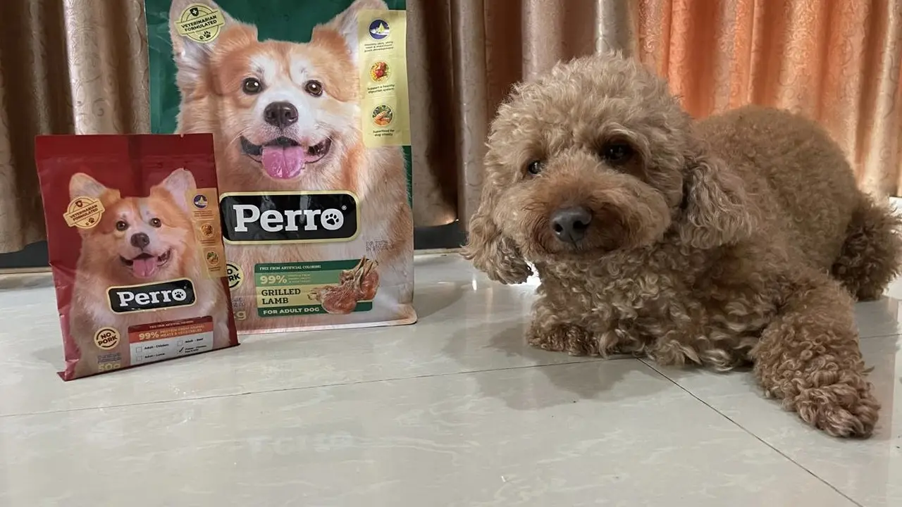 Bernutrisi Lengkap, Makanan Anjing dari Perro Diformulasikan dengan Standar Amerika
