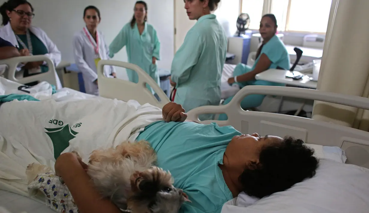Seekor anjing jenis Schnauzer bernama Paola sedang tidur bersama pasien bernama Jaqueline Castro, yang dirawat karena penyakit degeneratif, di tempat tidurnya selama 15 menit di Rumah Sakit Dukungan, Brazil. (17/11/2016).(AP Photo / Eraldo Peres)
