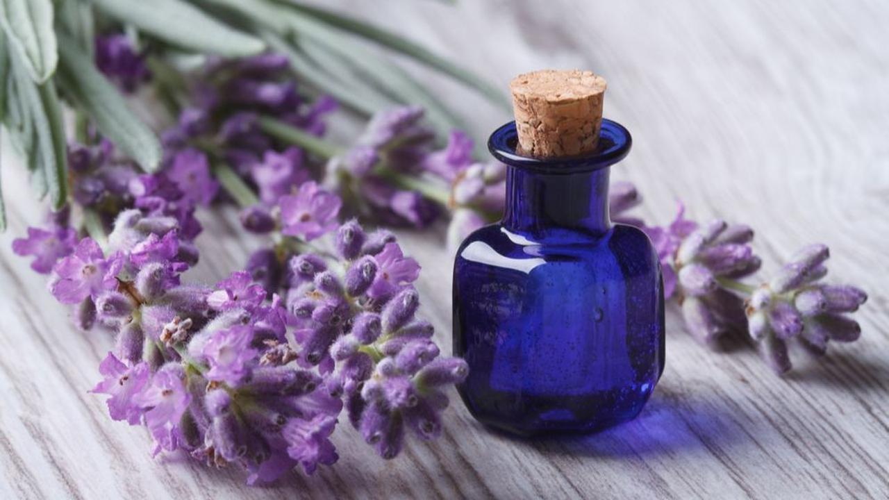 4. Lavender
