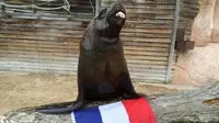 Watson, Si Singa Laut Prediksi Perancis Juara Euro 2016