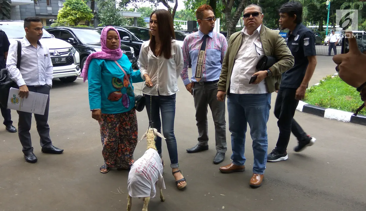 Mantan model majalah pria dewasa, Putri Stagi bersama pengacaranya Razman Arif Nasution membawa  kambing ke Polda Metro Jaya, Rabu (29/11). Kambing itu dipasangi kain 'Tolong Jangan Hina, Samakan Saya dengan Kambing'. (Liputan6.com/Nafiysul Qodar)