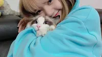 6 Tips Ajak Kucing Bersosialisasi, Penting Perhatikan Usia Anabul