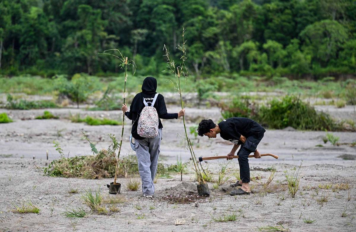 Ratusan Ribu Pohon Ditanam di DAS Peusangan Aceh
