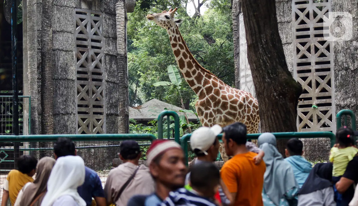Dia mengimbau pengunjung untuk membawa perlengkapan fasilitas hujan karena cuaca sudah memasuki musim hujan. (Liputan6.com/Herman Zakharia)