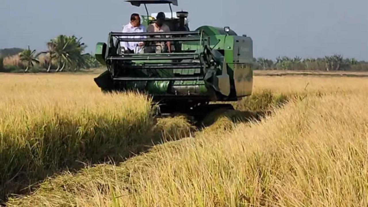 "Untuk rata-rata harga gabah kering giling (GKG)di tingkat petani Rp7.703 per kg atau naik 4,29 persen. Kemudian, di tingkat penggilingan Rp7.818 per kg atau naik 4,26 persen," pungkas Pudji