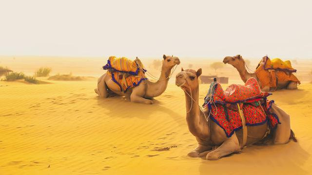 Jaisalmer