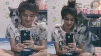 Anjing Kelewat Narsis, Netizen Heran dan Takjub