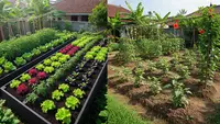 Bedengan Tinggi Vs Langsung di Tanah, Mana Cara Terbaik untuk Menanam Sayur?