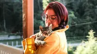 Cara Memanggil Kucing yang Hilang agar Mau Keluar dan Pulang