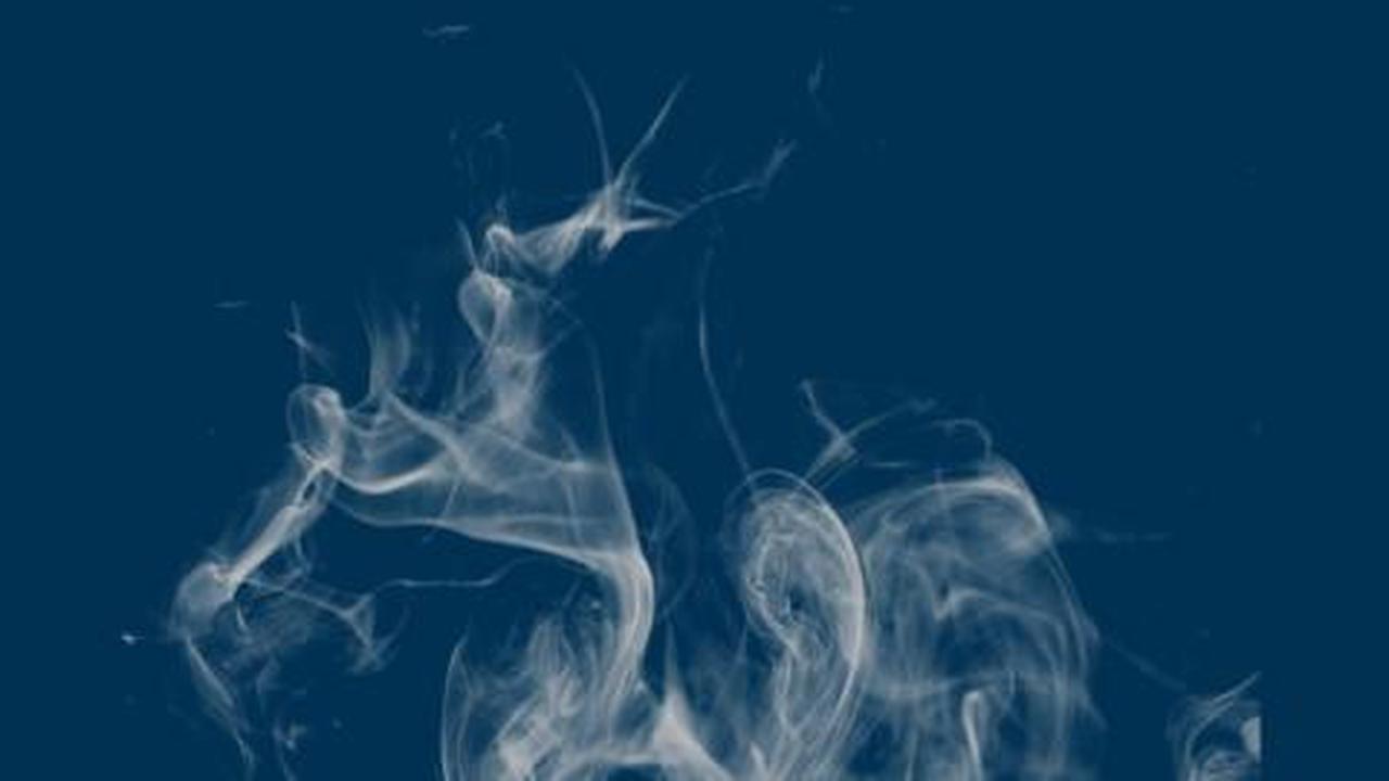 Ubah asap rokok jadi oksigen, Maul-Afdi siswa terbaik dunia
