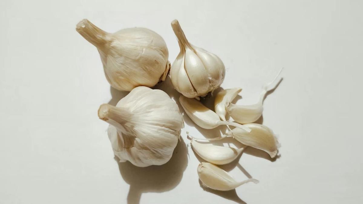 ilustrasi bawang putih