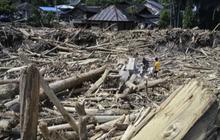 WWF Indonesia: Banjir di Sumatra Merupakan Akumulasi Kebijakan Kemenhut Selama Bertahun-tahun