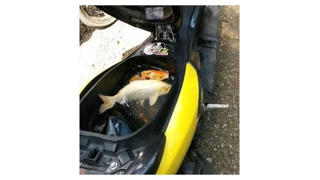 Fungsi Bagasi Motor Ini Bikin Geleng-geleng