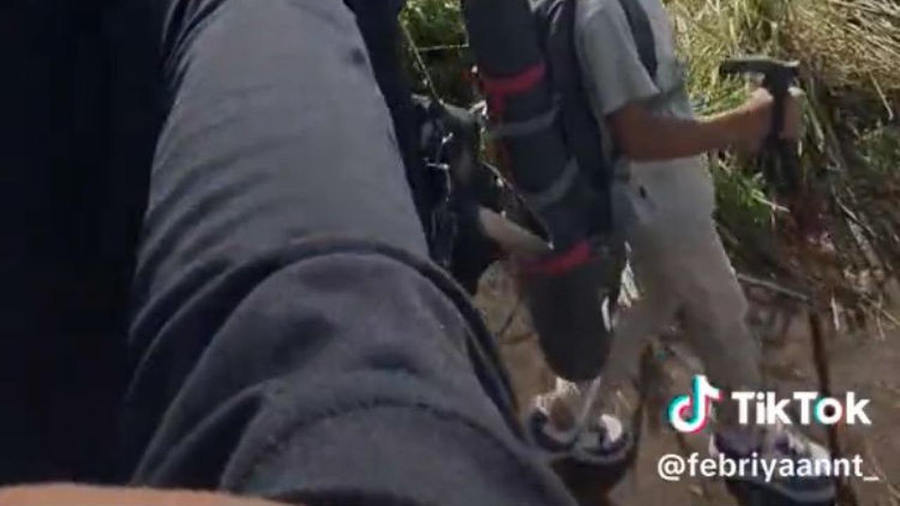 Pria Ini Ajak Adik Kecilnya Naik Gunung, Aksinya Viral Curi Perhatian Warganet