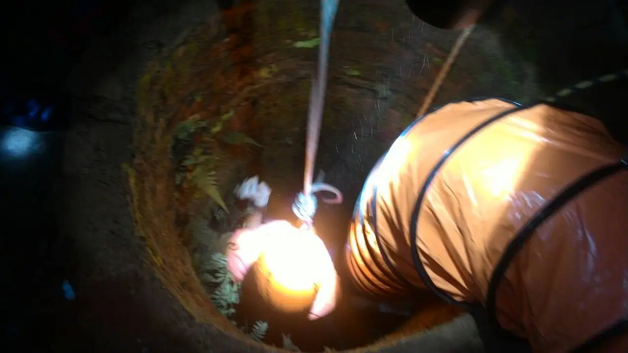 Kisah Pengorbanan Nyawa Rukoni bagi Kambing Kesayangannya